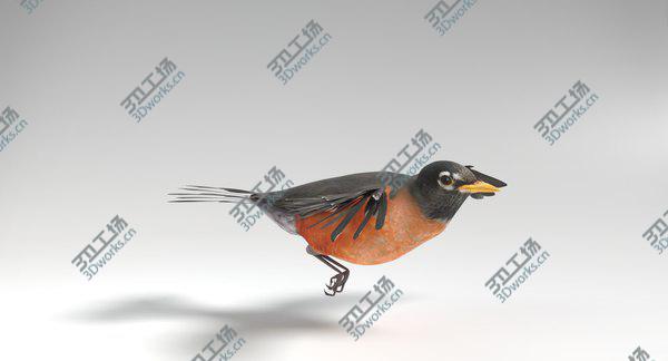 images/goods_img/20210312/3D Robin Animated/5.jpg